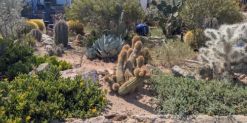 April 4th meeting: So, You're Ready to Try Native Plants