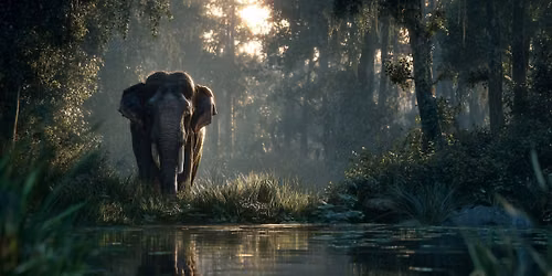 \ud83d\udc18 Sarasota Wild Wonders Escape | BOND VOYAGE Day Escape Round-Trip Group Transportation Included