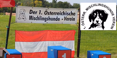 Hunderennen Grand Derby  