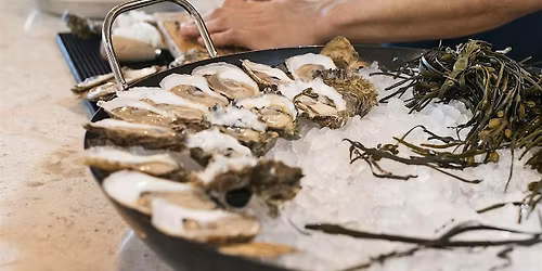 Oyster 101