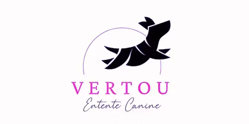 CONCOURS AGILITY - VERTOU - 13 JUIN 2026