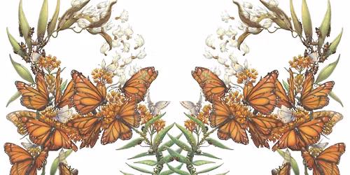 The Nature of Drawing: A Naturalist\u2019s Sketchbook