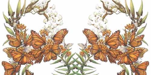 The Nature of Drawing: A Naturalist\u2019s Sketchbook