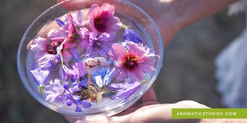 Flower Essence Certification Intensive