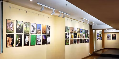 7th Annual Photography Exhibition 