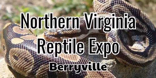 Northern Virginia Reptile Expo Berryville