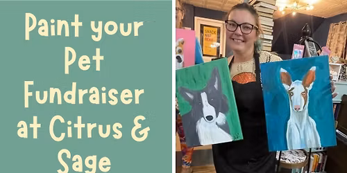 Paint your Pet Fundraiser Round Two for the USA Ibizan Rescue!