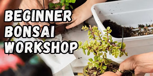 Beginner Bonsai Workshops