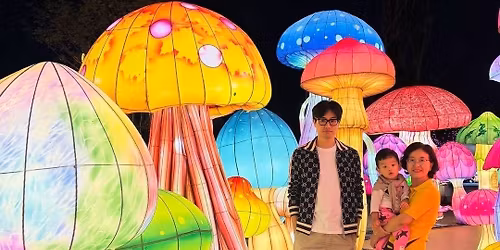 Christmas Carols,  Lights and Market Sandton 2025