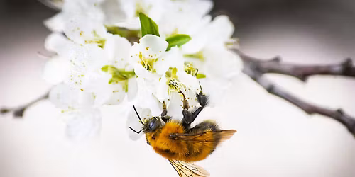 Pesticide Safety Class