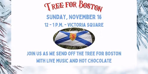 Tree for Boston Send Off