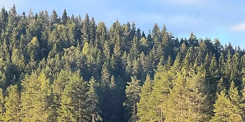 Tur fra Marikollen, rundt Ramstadsj\u00f8en og innom Huldreheim
