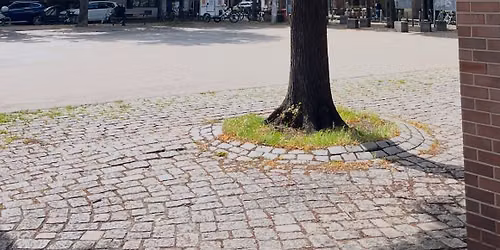 Flohmarkt Lange Reihe