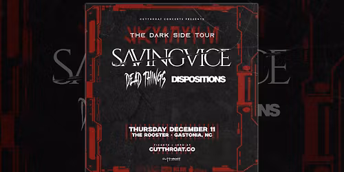 Saving Vice | Gastonia, NC