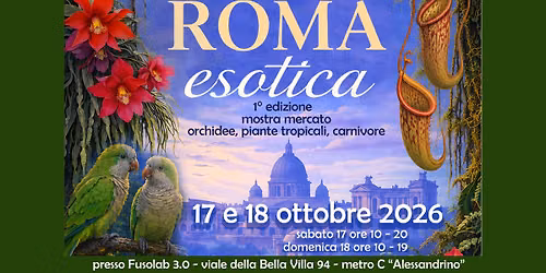 ROMA ESOTICA \ud83c\udf3a 