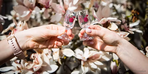 Ko\u0161t p\u00e1lenek Ku\u0159im - Moravsk\u00e9 Kn\u00ednice