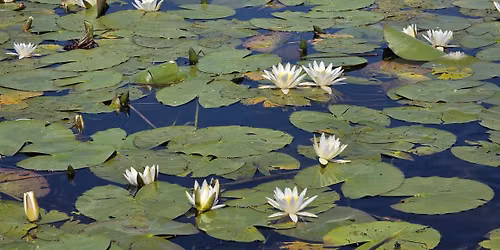 \ud83c\udf3f Excursie de o zi \u00een Delta Dun\u0103rii\n