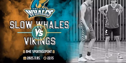VBK Slow Whales - Vikings