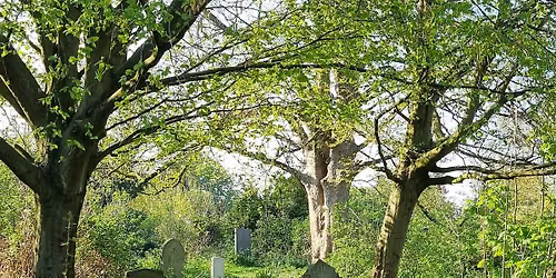 How Mill Road Cemetery came to be
