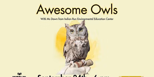 Awesome Owls