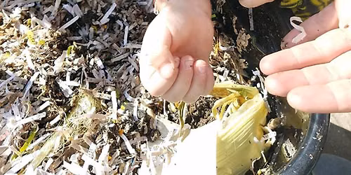 Intro to Composting with Worms Workshop