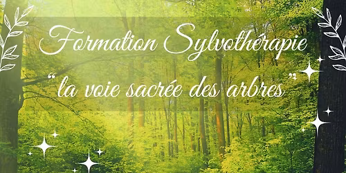 Formation Sylvoth\u00e9rapie : un chemin de transformation personnelle et professionnelle