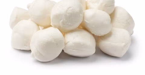 From Milk to Magic: Crafting Fresh Mozzarella & Cottage Cheese
