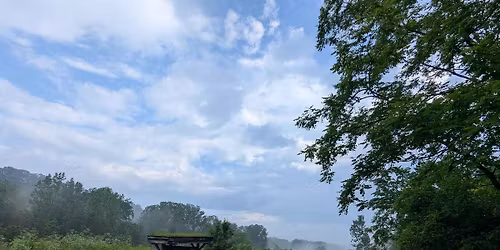 Tree Planting- Wingfield Pines