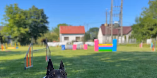 Treningowe Zawody Agility 24.05.2026 Tarn\u00f3w