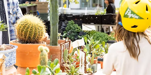 Mother's Day Plant Giveaway