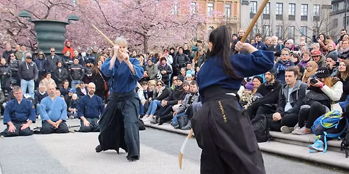 Sogo p\u00e5 K\u00f6rsb\u00e4rsblommans dag