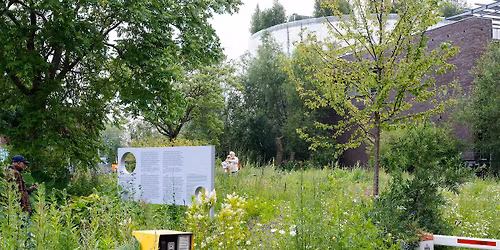 BioBlitz010 2026