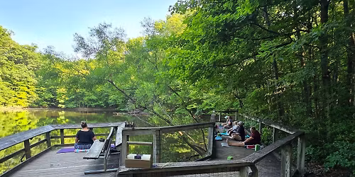 Yoga in the Woods