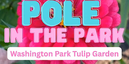 Albany \u201cPoles in the Park\u201d Free Outdoor Series  for all (18+) Summer Series