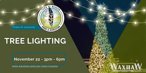 Waxhaw Tree Lighting