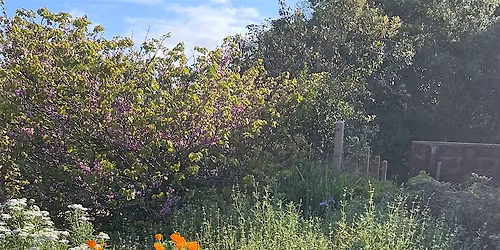 Spring in Bloom: Community Festival at Shipley Nature Center