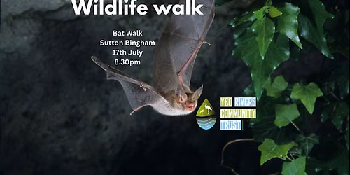 Bat Survey and walk @ Sutton Bingham