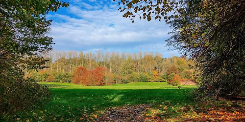 Kersal Autumn Stroll