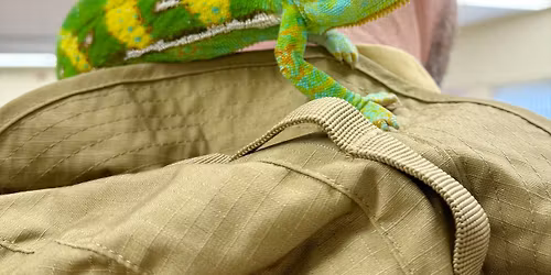 Reptiles Are Coming to The Hole In Wand York One Day Only!\ud83d\udc0d\ud83e\udd8e