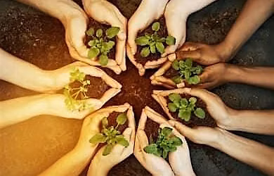 Learn how to save your own seeds, and locally adapt crops. + Seed Giveaway