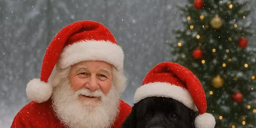 M\u00e4rgade K\u00e4ppade j\u00f5ulujalutusk\u00e4ik Tartus