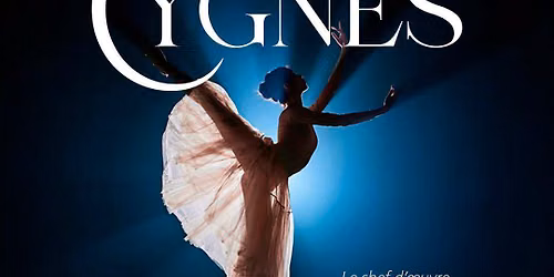 \ud83e\ude70\ud83e\udda2 BALLET : Le Lac des Cygnes