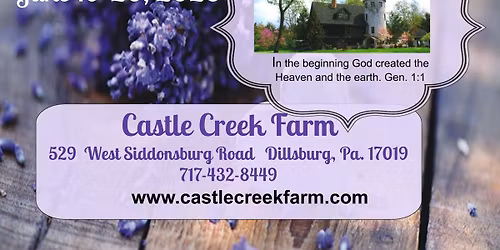 Lavender Thyme Faire