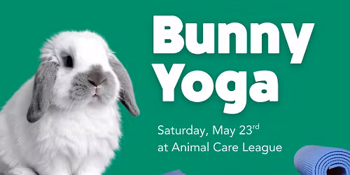 Bunny Yoga!
