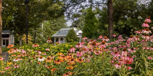 Landscaping for the Homeowner