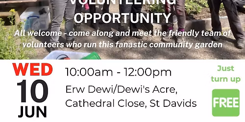 Community Garden Volunteering Day