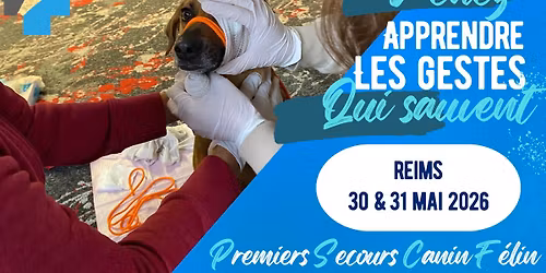 Formation aux Premiers Secours pour Chien et Chat \u00e0 REIMS