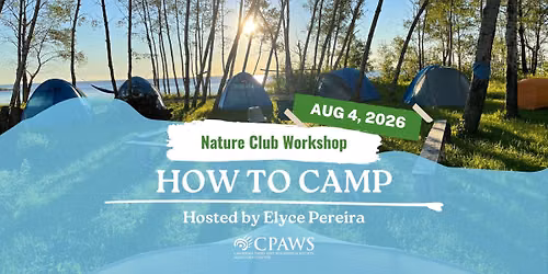 Workshop: How to Camp