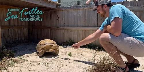 Honorary Animal Care Team Experience