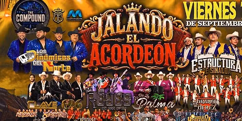 Jalando el Acordeon